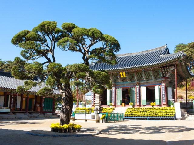 소원 이뤄주는 둥근달, 여기서 떠요...추석 달맞이 명소