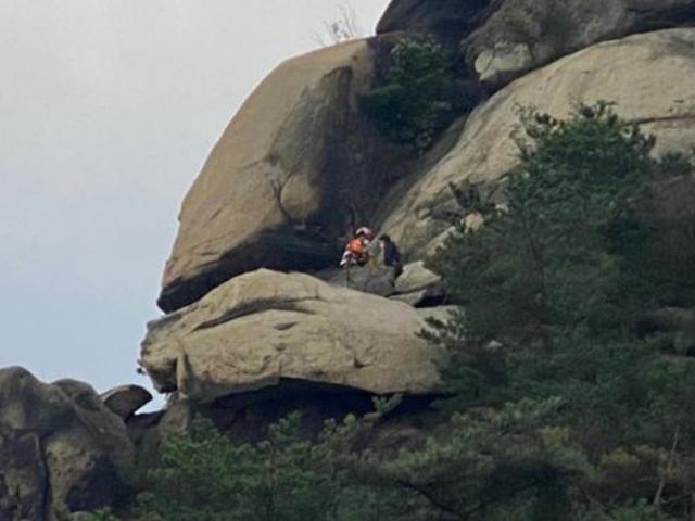 가출 8일만에 산 위 절벽서 구조된 20대…"살아줘서 감사"
