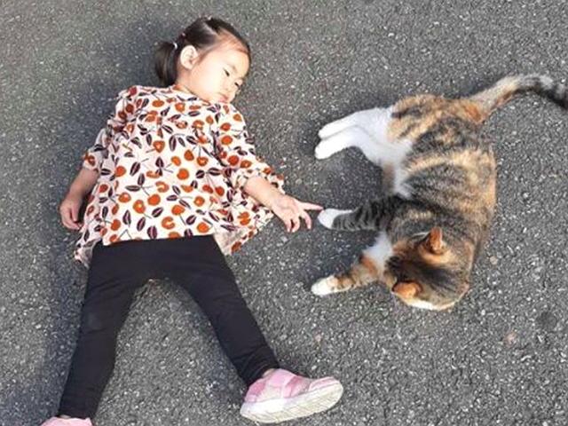 함소원, 고양이 앞발 만지려 길 위에 누워 버린 딸...<strong>귀여움</strong> 폭발