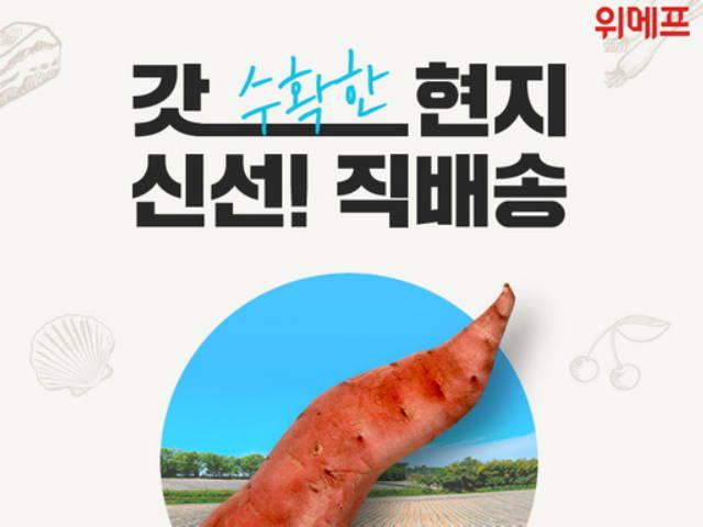 ‘벌써 10년’ 위메프는 어떻게 주요 <strong>이커머스</strong>로 성장했을까?