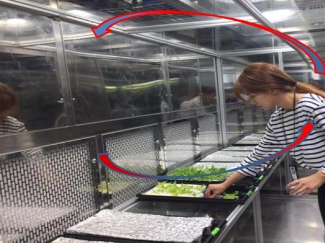 “텃밭 식물도 사람과 교감 가능”