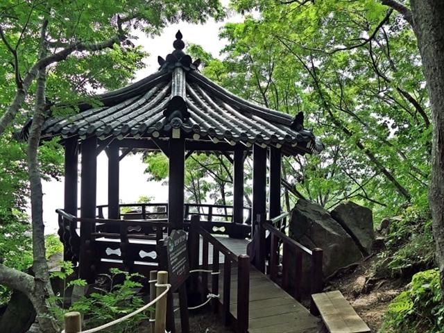 [울릉도] 성인봉 등산 - 도동에서 오를까, 나리분지에서 오를까