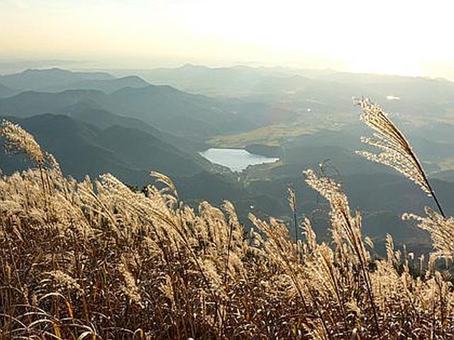 황금빛 군무 시작되는 산, 억새의 계절이 왔습니다