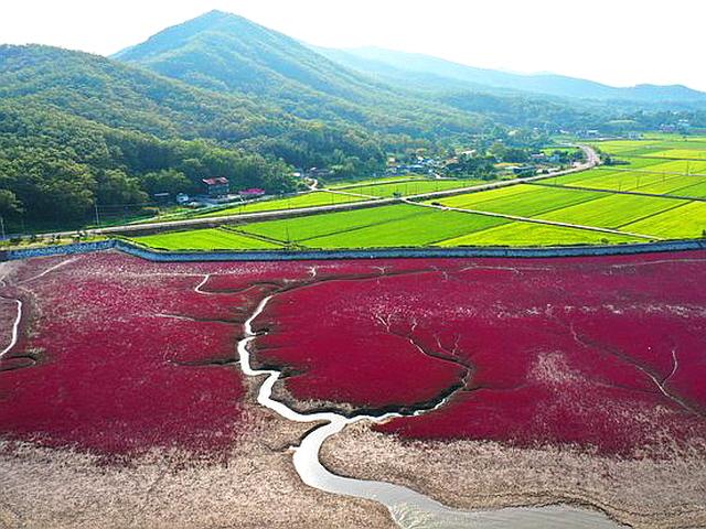 서울·수도권에도 있다. 거리 두기 좋은 ‘비대면 관광지’