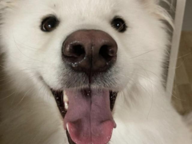 내 딸이, 12시간 동안 쇠창살에 찔려 죽었다