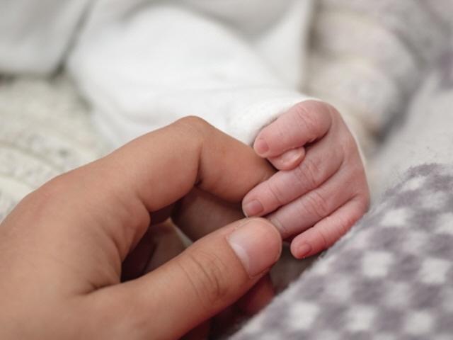 “이 아이, 300만원” 중학생 <strong>당근마켓</strong> 글…실제 문의한 사람들