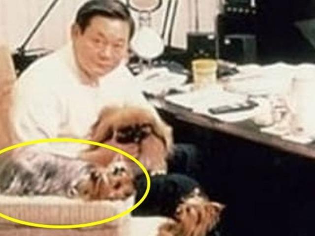 살아생전 너무 귀여워해 복제까지 했다는 이건희 회장의 강아지