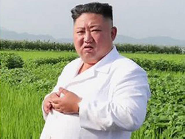 "김정은 매년 6~7㎏ 쪄 <strong>140</strong>㎏…지팡이 짚었지만 지금 건강"