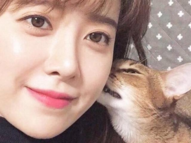 이혼했지만 전 남편의 반려견 그립다고 고백한 여<strong>배우</strong>