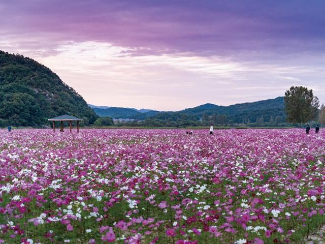 <strong>트래블</strong> 버킷리스트_부여