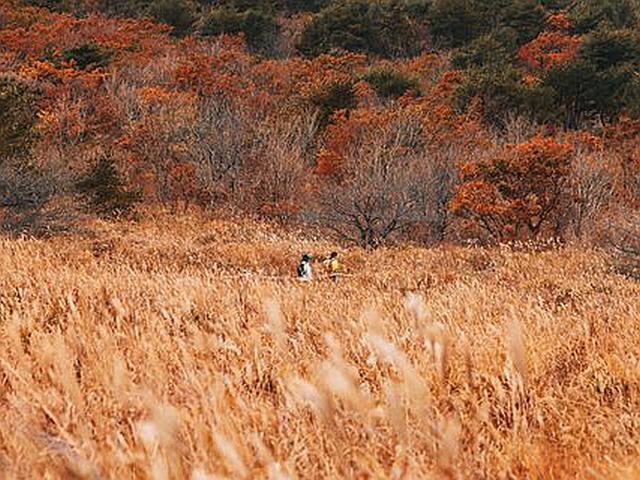 더 늦기 전에~ 늦가을에 더 아름다운 길 4