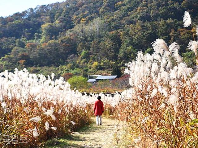 가을 내려앉은 <strong>옥정호</strong>... 마실길 먹감, 대장금도 그 맛을 알까요