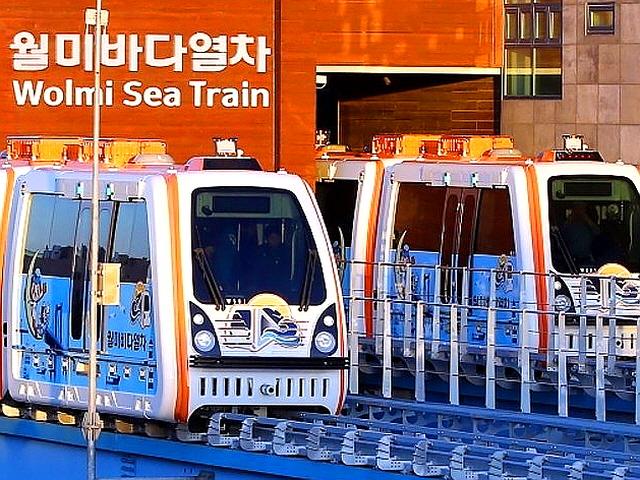 ‘1천억 원 들였다’ 대표적 혈세 낭비였던 <strong>바다</strong><strong>열차</strong>의 반전