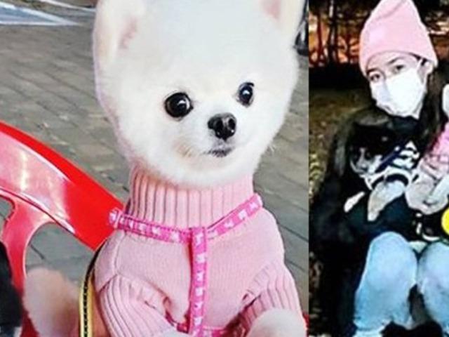 한강 산책하다가 라면냄새 맡은 성유리 <strong>댕댕이</strong>의 표정