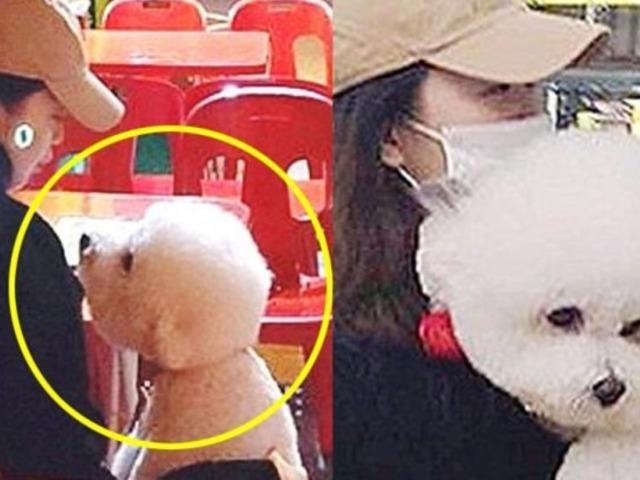 전소민 강아지로 유명해진 댕댕이, 알고보니…