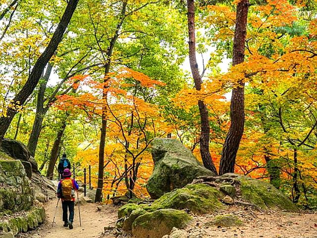 가을철에 오르기 좋은 '단풍 명소' 등산 코스 TOP 4