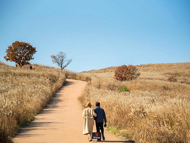 가을과 엔딩하기 좋은 억새 군락지