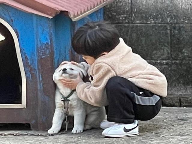 '누가 누굴 귀여워해?'..시골 강아지와 아이의 훈훈한 첫 만남