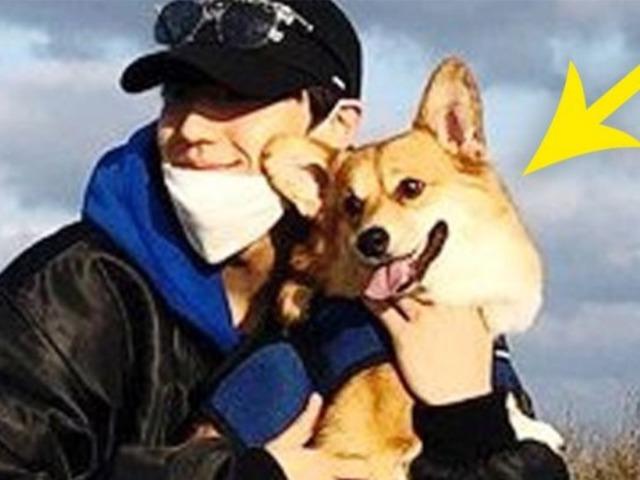 연예인 주인보다 더 유명하다는 강아지의 일상사진.jpg