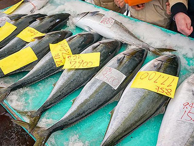 ‘싸고 맛있어서 먹었더니…’ <strong>제철</strong> 맞은 방어가 일본산이라고?