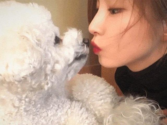 팬미팅에서 여배우보다 환호받았다는 <strong>댕댕이</strong>의 정체