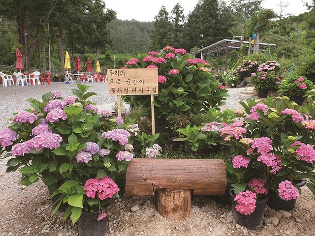 UNTACT <strong>TRAVEL</strong> #전남 언택트관광지 50선 고흥편