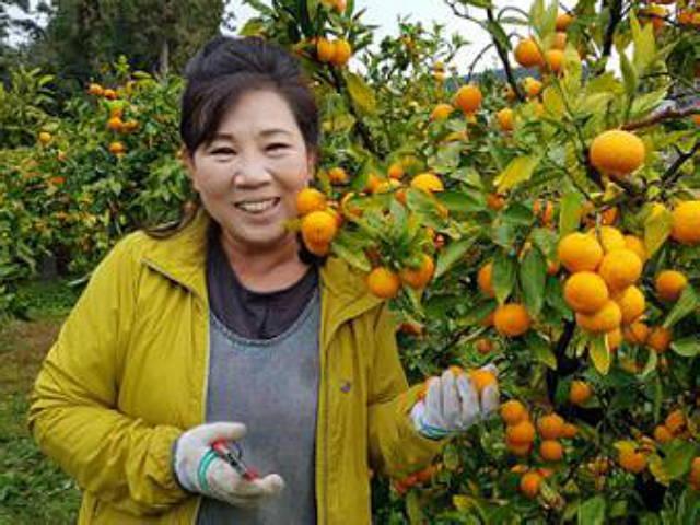 "새파랗게 젊은데" 말에 번쩍... "제주서 귀농 정착 도와요"