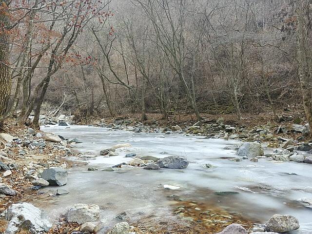 [休] 육지 속 섬나라 '영양자작도(島)'-겨울 내린 <strong>자작나무 숲</strong>...지친 영혼에 '순백의 위로'