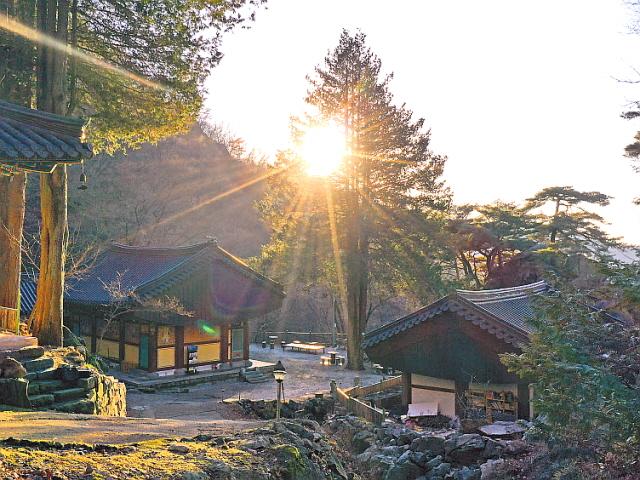 왕건·<strong>이성계</strong>가 계시받은…상이암 ‘왕의숲’서 새 희망을 품다