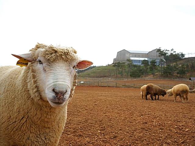 오늘도 걷는다… 시간이 멈춘 원시숲의 따뜻한 품을 향해