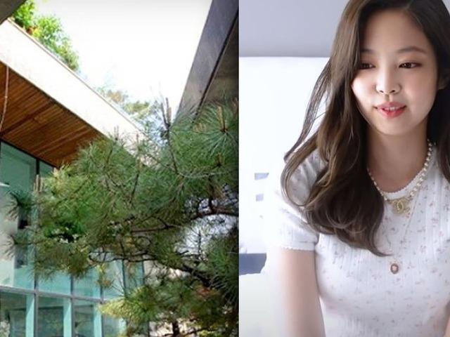 영상 하나로 구독자320만명…유튜브 채널 개설로 화제된 제니의 집 내부