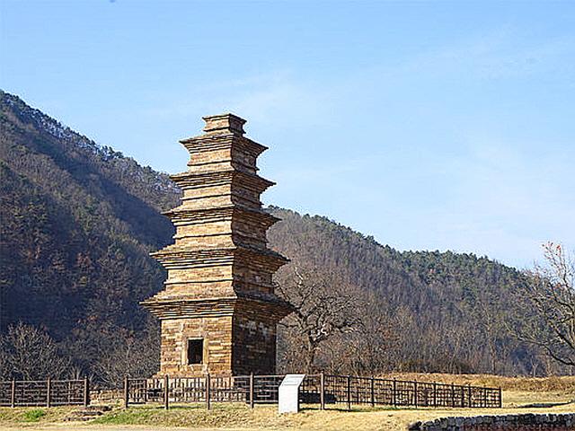 바람도 잠든 <strong>자작나무숲</strong>… 별빛이 살금살금 내린다