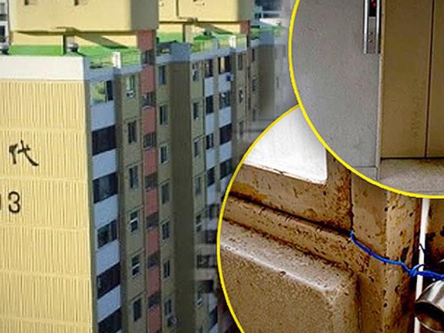 “겉만 봐선 모른다” 허름한 <strong>아파트</strong>가 ‘프리미엄’으로 불리는 이유