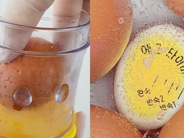 자취생 <strong>필수 템</strong>이라는 계란, 업그레이드 시켜준다는 제품