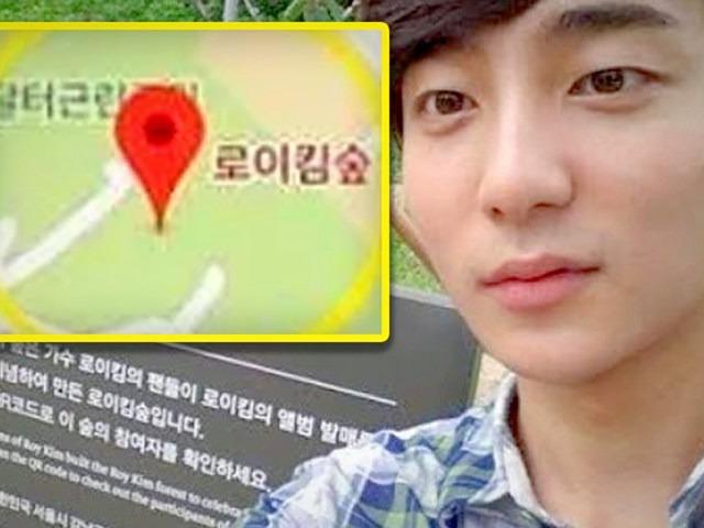 ‘그 일’ 이후 개포동 로이킴숲·인천 박유천 <strong>벚꽃</strong>길의 현상태