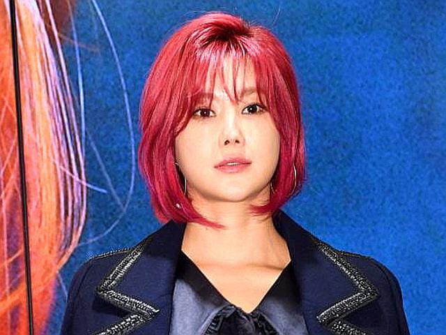 표절 시비에 곰팡이까지…<strong>솔비</strong>, 케이크 논란 결국 사과