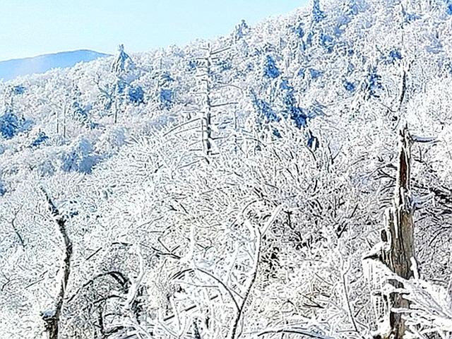 평창 <strong>발왕산</strong> 정상에 순백의 상고대 활짝 피었네 [최현태 기자의 여행홀릭]