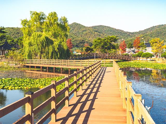 붉은 백수, 푸른 불갑, 4白 고을 ‘영광’의 순수 매력