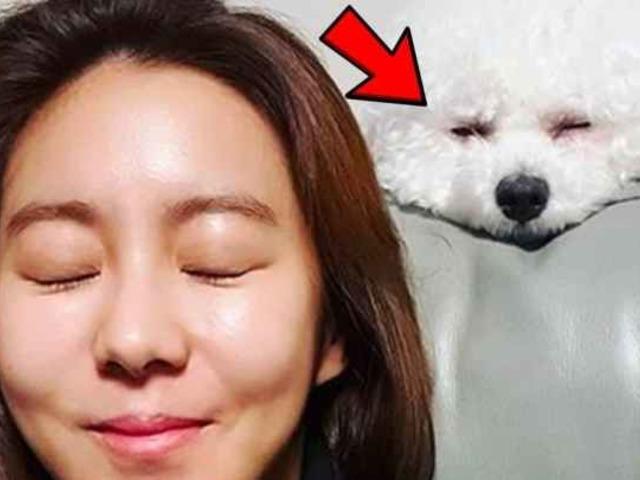 “조회수 220만” 아이돌이 키우는 반려견의 데뷔해도 될만한 헐리우드급 리액션 수준