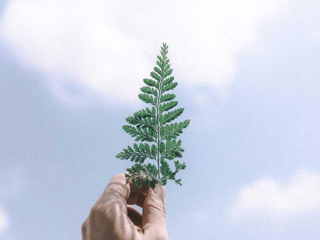 [인-잇] "암 걸리고 바뀐 내 인생, 행복합니다"