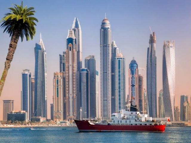 UAE <strong>식품</strong><strong>기업</strong> 아그시아, 가공단백질 시장 진출