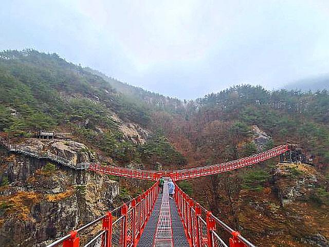 [<strong>기수</strong>정의 여행 in] 우두산 절경보며 '눈호강' 오도산 솔숲따라 '몸호강'