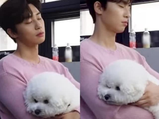 ‘박서준 껌딱지’로 난리 났던 댕댕이 ‘심바’의 <strong>심쿵</strong> 근황