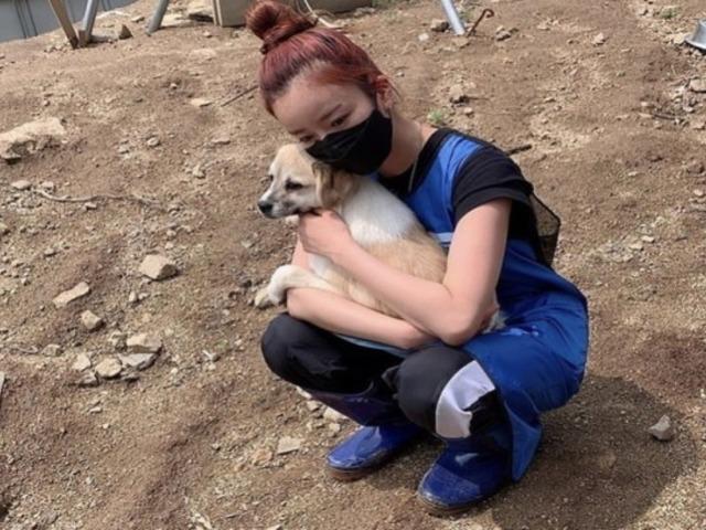 “전혀 몰랐다” 소속사 대표도 모르게 <strong>윤보미</strong>가 1년간 해온 활동