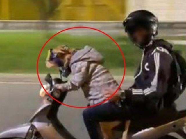 개가 운전을?…주인 태우고 오토바이 질주하는 반려견 논란 (영상)