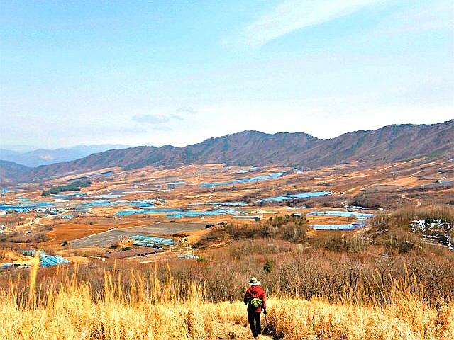 봄의 왈츠 흐르는 청정분지… 나목도 내게 들꽃처럼 살라 하네