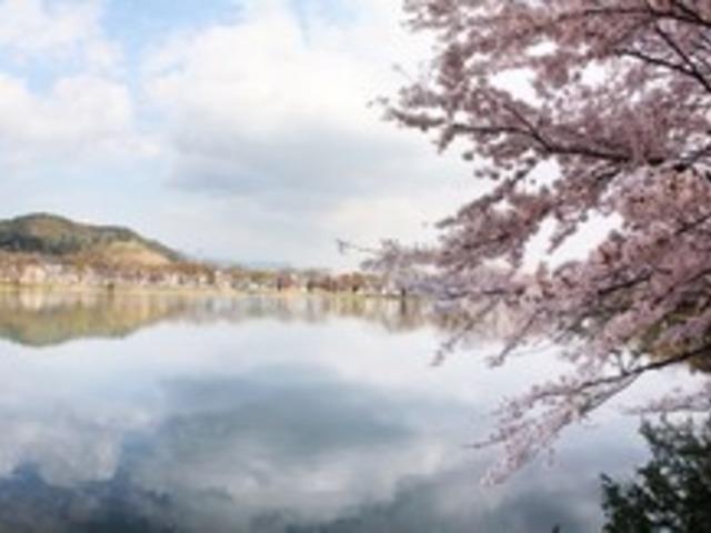 경남도가 뽑은 안전한 <strong>봄나들이</strong> 코스!