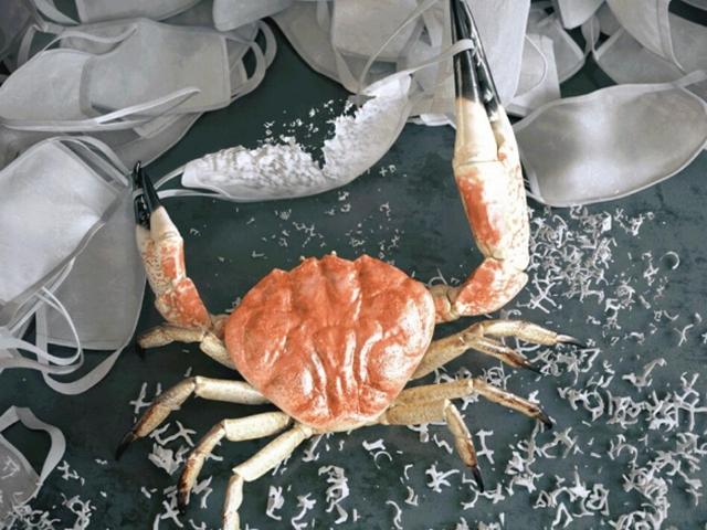 숨쉬기 편하고 100% 자연분해되는 마스크 필터 나왔다