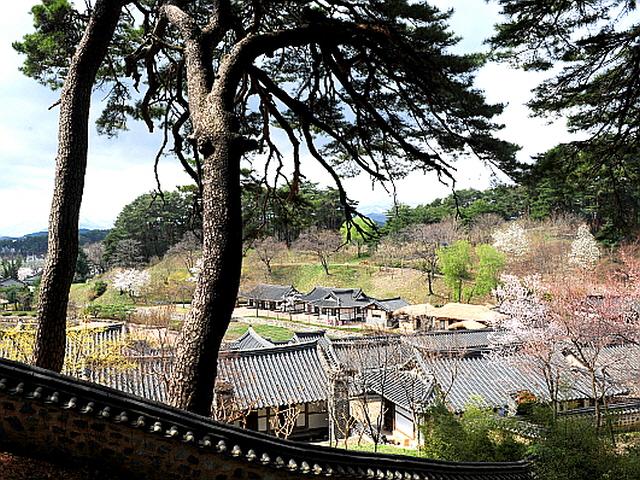 [여행] 봄볕 <strong>화사</strong>한 옛집 산책