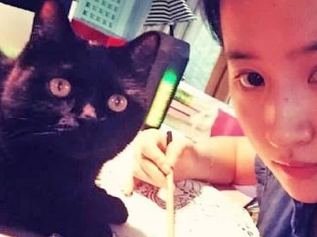 ‘셀카에 잘 안 나와’ 황당한 이유로 입양 거부되는 냥이